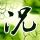 美15岁学生枪杀老师